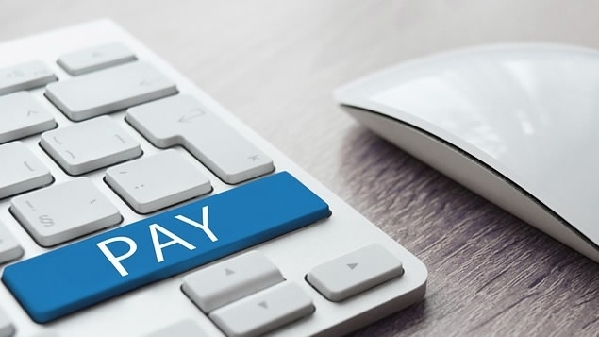 20余家支付機構(gòu)接入網(wǎng)聯(lián)平臺