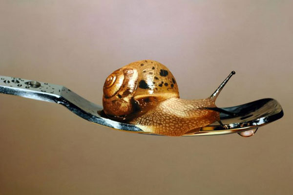 比照片更逼真的畫(huà)作，攝影師：你們畫(huà)畫(huà)的干嘛搶我飯碗