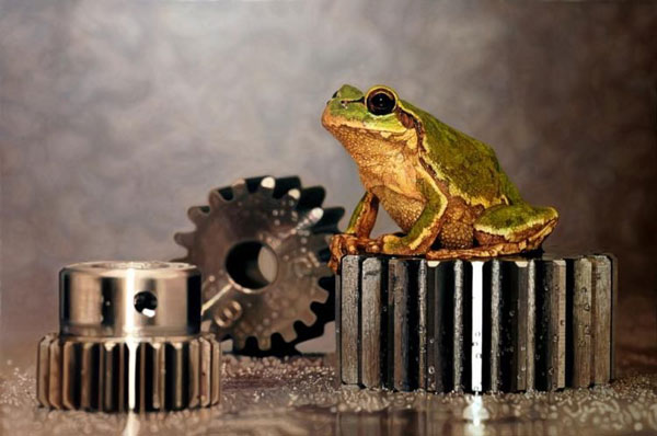 比照片更逼真的畫(huà)作，攝影師：你們畫(huà)畫(huà)的干嘛搶我飯碗