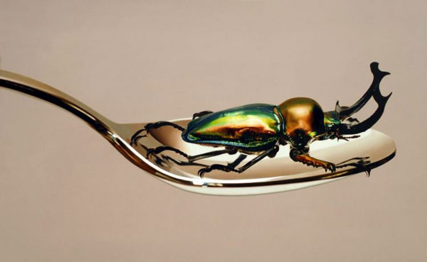 比照片更逼真的畫(huà)作，攝影師：你們畫(huà)畫(huà)的干嘛搶我飯碗