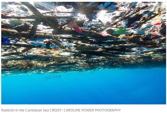 這照片讓人震驚！加勒比海被塑料垃圾“活埋”