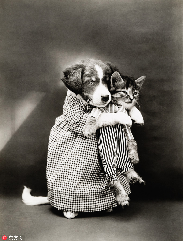 萌物過家家！一個世紀前的攝影家教你如何正確吸貓吸狗
