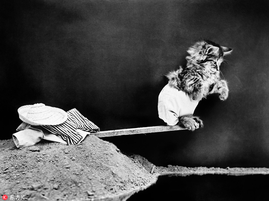 萌物過家家！一個世紀前的攝影家教你如何正確吸貓吸狗