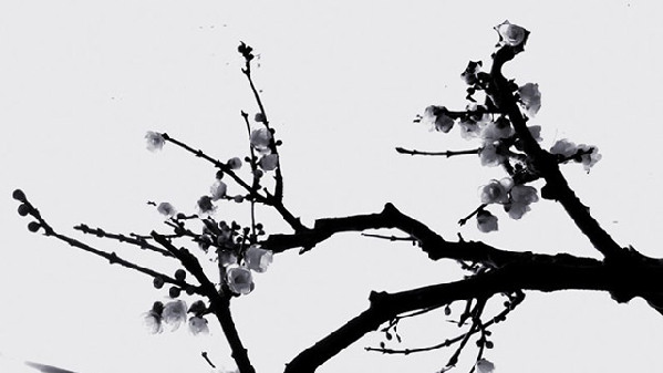 翻譯輕重“神”在先,古典翻譯為今人