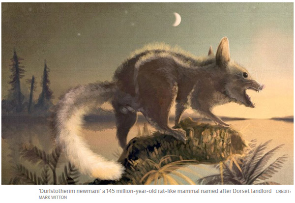 考古新發現:人類的祖先是老鼠