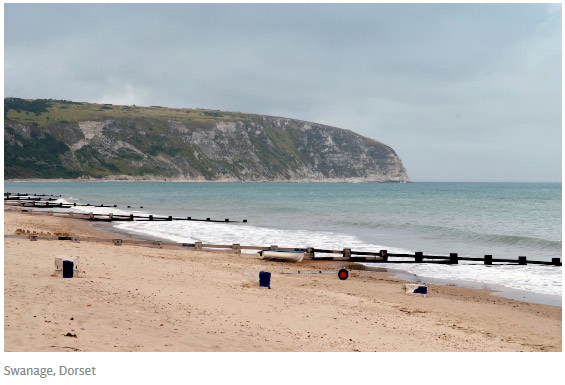 考古新發現:人類的祖先是老鼠