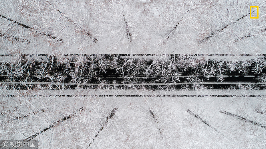 《國家地理》2017自然攝影大賽獲獎作品 美得令人窒息（組圖）