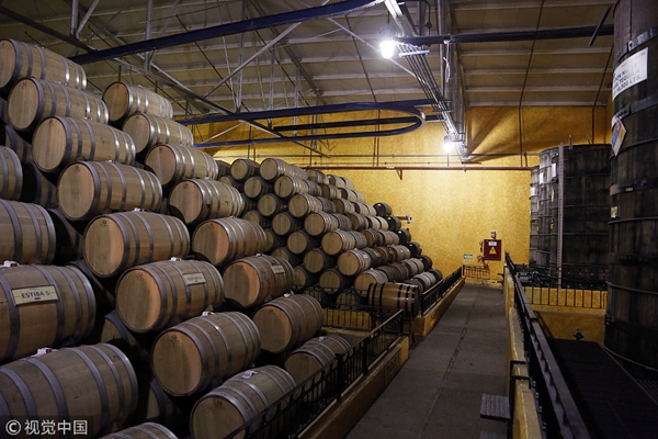 暖心之作《尋夢環游記》熱映 13大景點帶您玩轉瑰麗多彩墨西哥