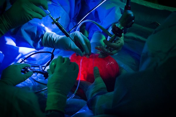 雙語盤點：2017年，我們了解到哪些科學新知？