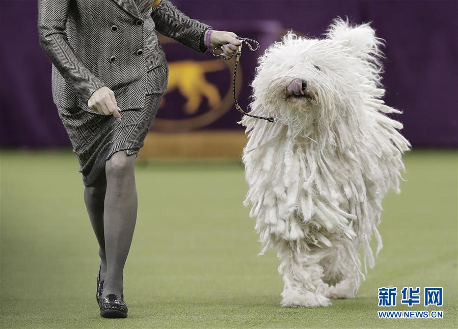 萌萌噠！“治愈系”動物們的憨萌瞬間（組圖）