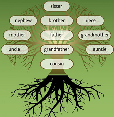這些“遠房親戚”用英語怎么說，看完好方……