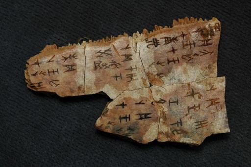 一周熱詞榜(12.23-29)