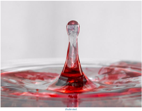 關于動物的14個誤解 個個讓你驚掉下巴