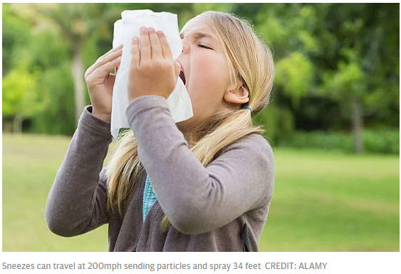 醫生警告：把噴嚏憋回去 可能引發身體損傷