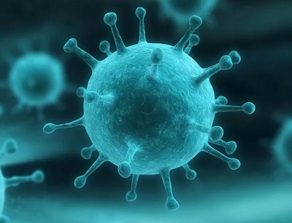 警報！警報！流感席卷全球，你中招了么？