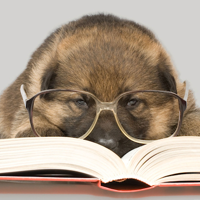 70個(gè)寫作翻譯必考表達(dá)