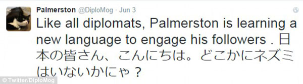 貓生艱難!英國外交部捕鼠官被“制裁”,或因工作效率變低