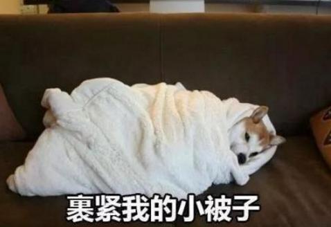 寒潮侵襲！英國人如臨大敵，卻遭北歐加拿大網(wǎng)友無情嘲笑