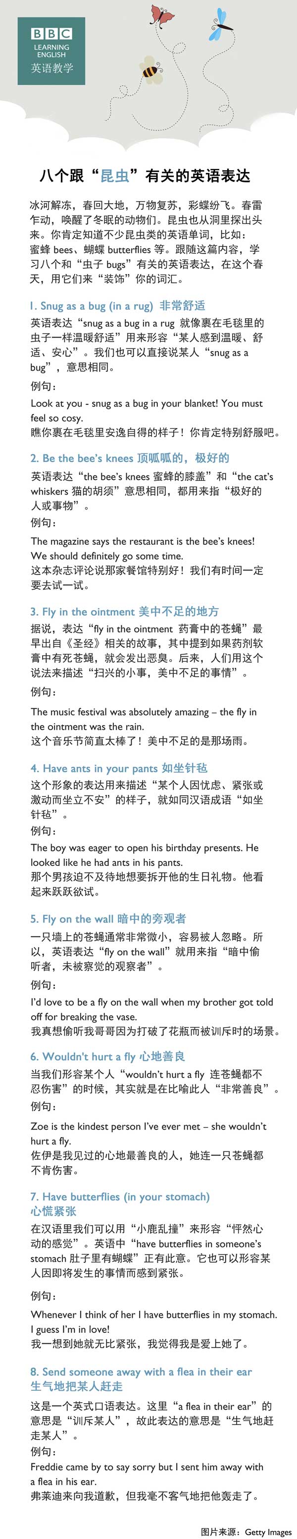 八個跟“昆蟲”有關的英語表達