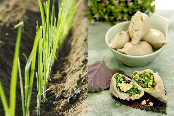 春天吃這10種食物 美味又養生