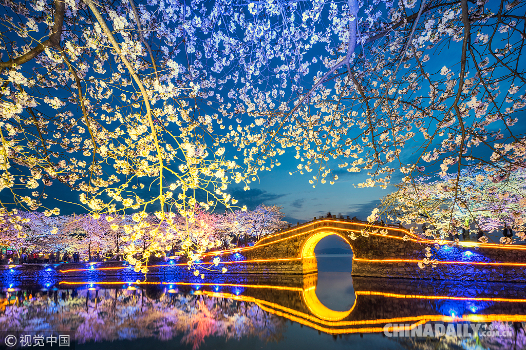 三月粉色櫻花季 國(guó)內(nèi)賞櫻勝地滿足你的少女心（組圖）