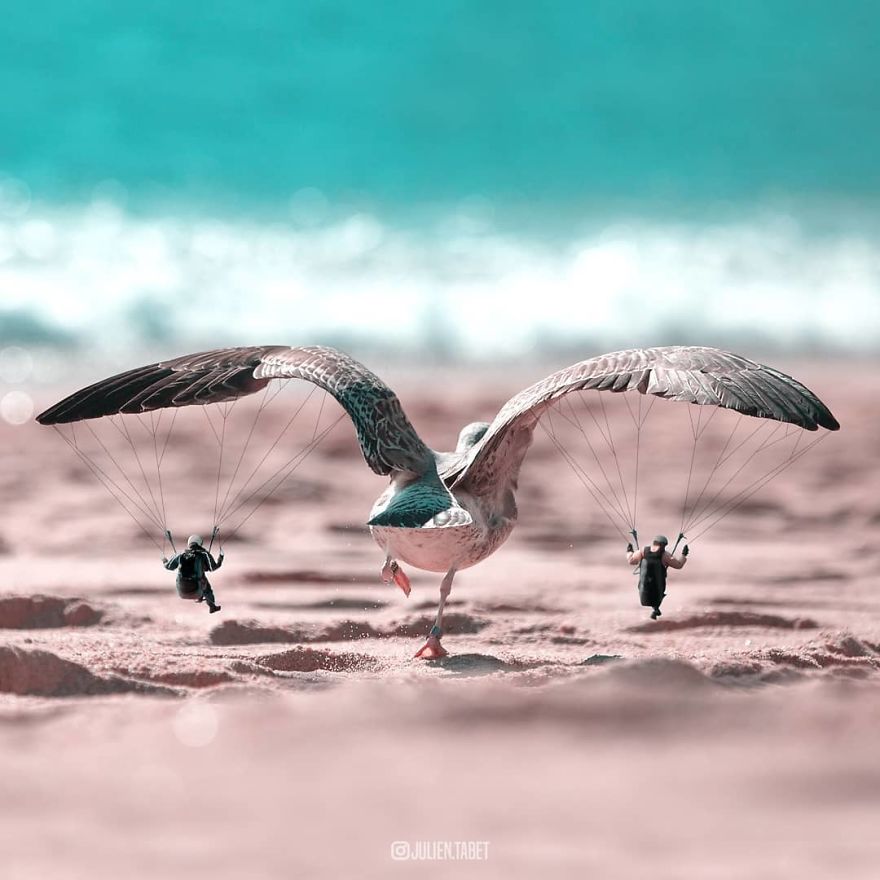 法國PS達人創造出“神奇動物”（組圖）