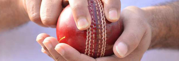 牛津熱詞：誰咬了碧昂絲？