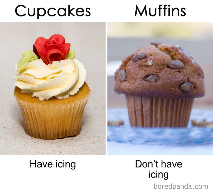 一直以來你都以為它們是同一種東西？事實(shí)是這樣的……（組圖）