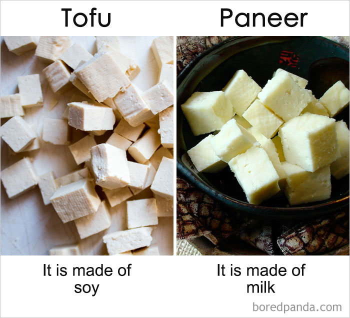 一直以來你都以為它們是同一種東西？事實是這樣的……（組圖）