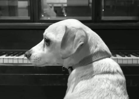 被劇透逼瘋的劇組:漫威不給演員看劇本,《權游》拍假結局