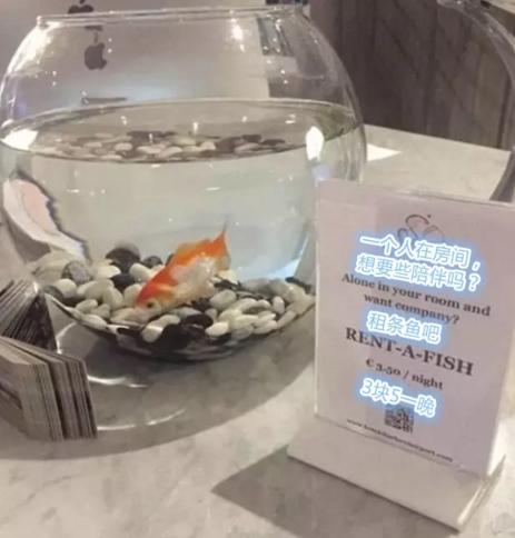 網友曬出貼心的酒店服務，這些設計也太人性化了吧