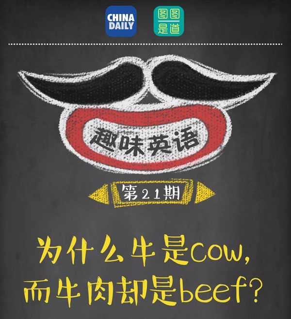 為什么牛是cow，而牛肉卻是beef？