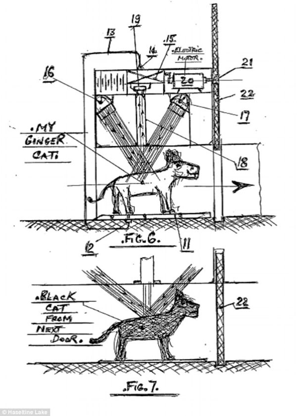 “寵物高科技”腦洞大開 來看看這些奇葩的專利申請