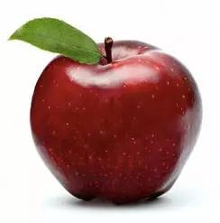 美國波特蘭洗手間的英文標識太有創(chuàng)意了!