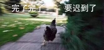 大學(xué)四年，我get了這些神技能