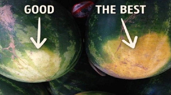 西瓜好不好靠敲？專家教你如何挑西瓜