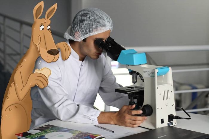 厭倦了單調(diào)？PS大神展示無(wú)聊照片的正確玩法（組圖）