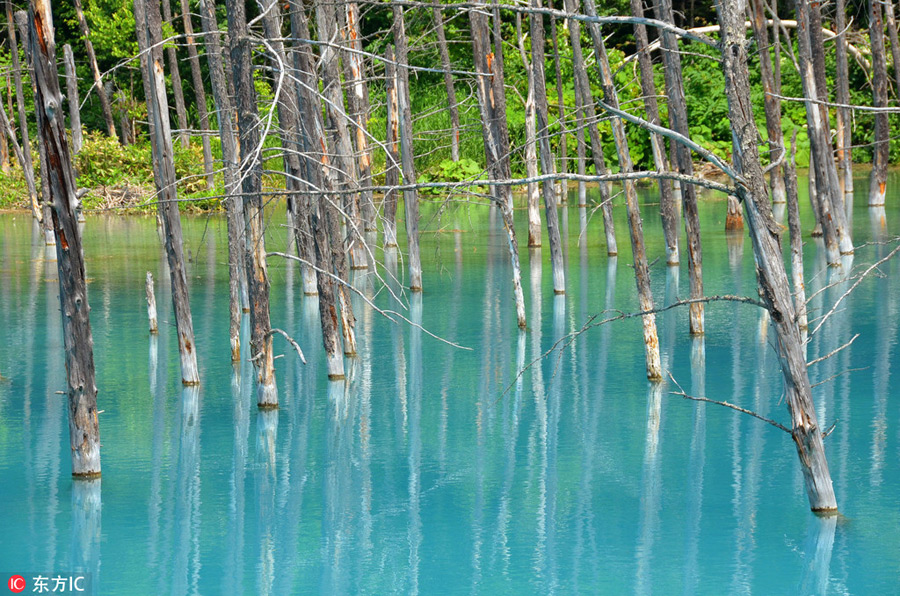 撲面而來(lái)的清涼！這個(gè)夏日來(lái)一場(chǎng)藍(lán)色主題旅行吧（組圖）