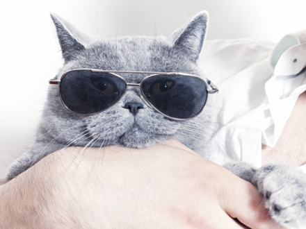 英語(yǔ)中有多少種方式夸你“好”？