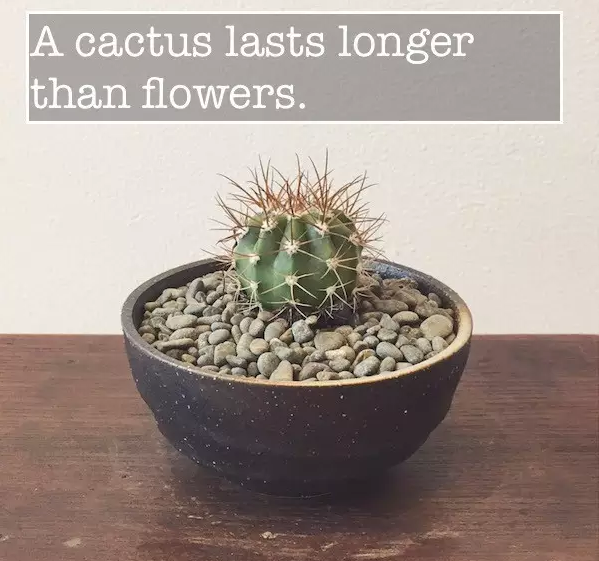 七夕怎么過?美國網友給你支招!