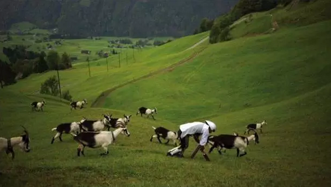 老鼠性生活、胯下看世界……今年的“搞笑諾獎”還是那股熟悉的奇葩味道