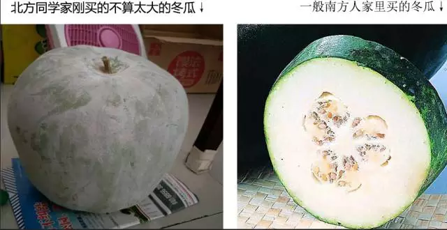 “南北差異”大討論：南方買菜買一頓，北方買菜買一噸？