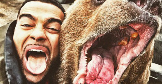 “自拍身亡”都有專用名詞了?這都是它的鍋