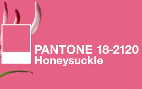 搶先看！2018年度色彩如此神秘又高科技