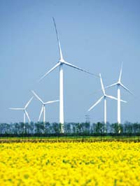 聯(lián)合國：綠色能源開發(fā)將新增2千萬就業(yè)機(jī)會(huì)