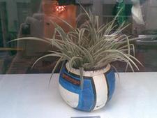 奧地利創意小店“變廢為寶”