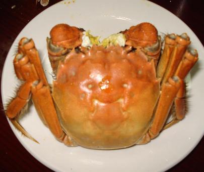 “大閘蟹”英文怎么說