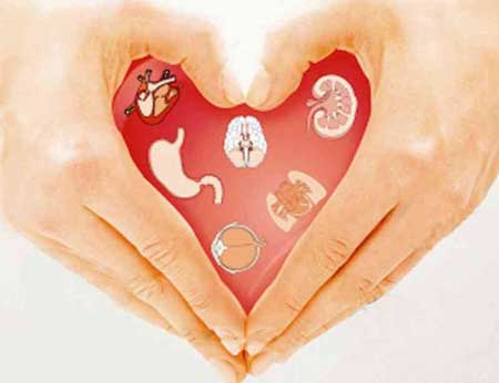 衛計委將強制規定捐獻器官由系統分配 確保公平分配