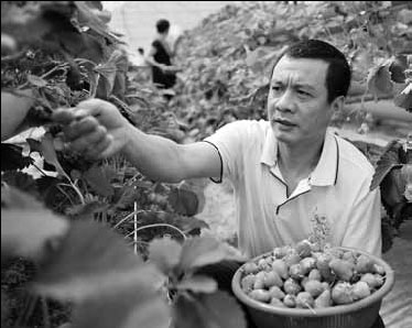 科技力量撬動現代農業