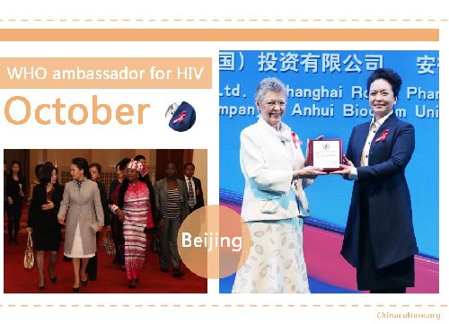 第一夫人衣櫥：彭麗媛2014時尚盤點（組圖）